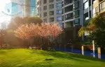虹橋豪苑%City Condo - 缩略图 7