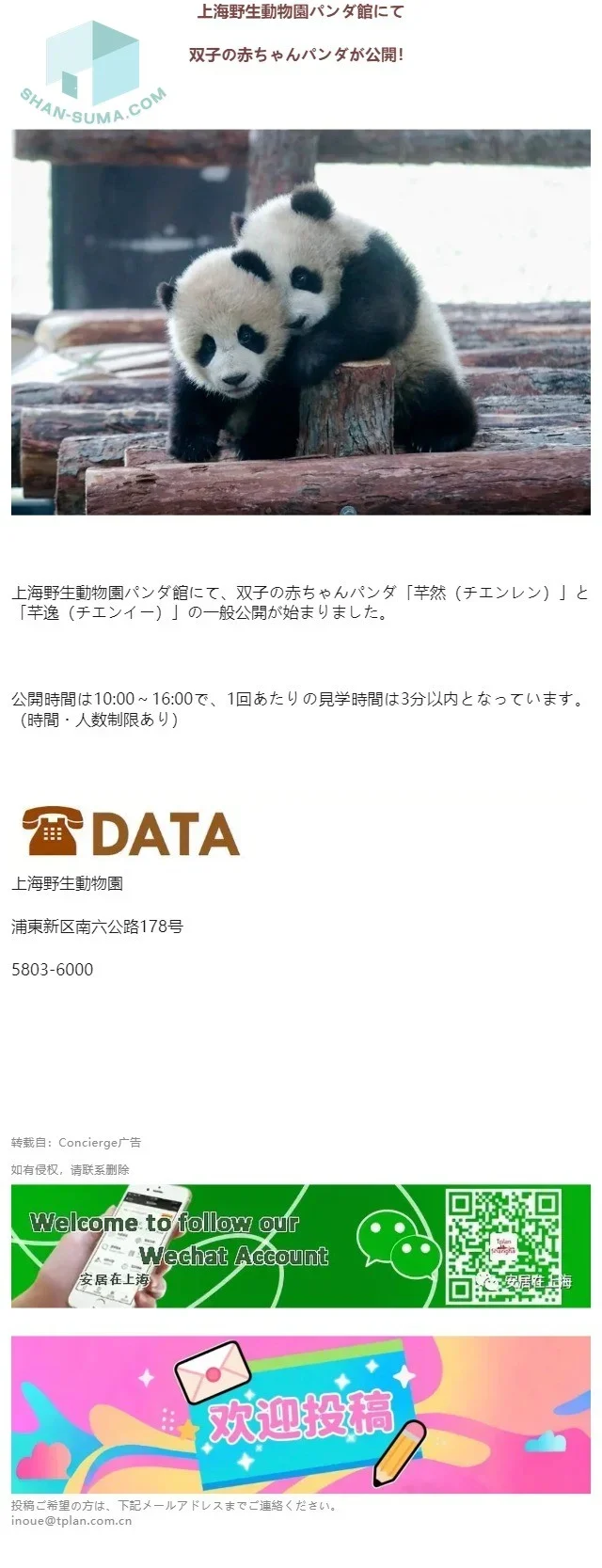 【NEWS】上海野生動物園にて双子の赤ちゃんパンダが公開！