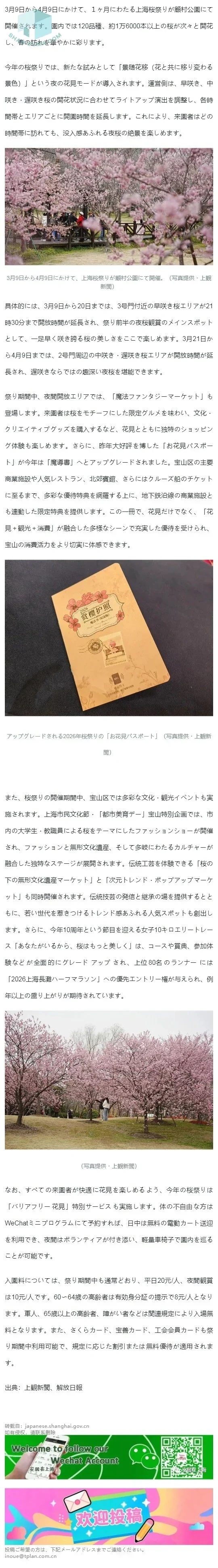 2026上海桜祭りがまもなく開幕