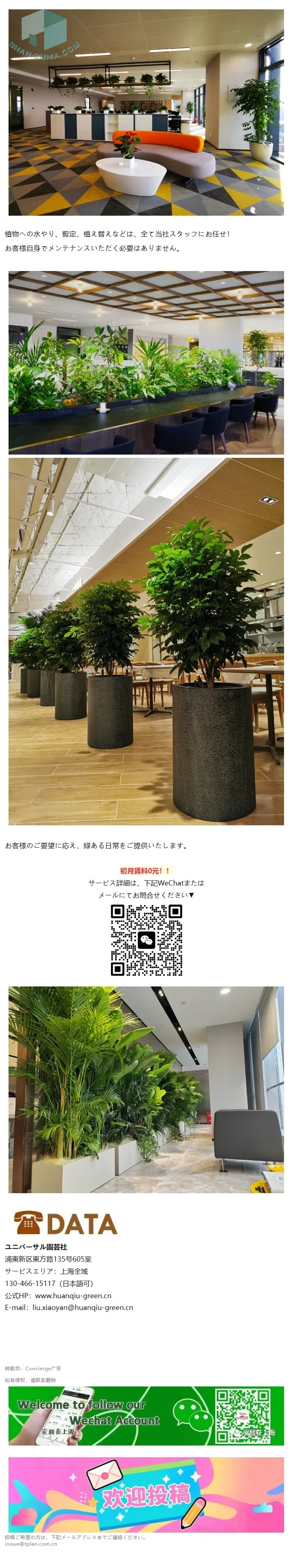 レンタルグリーンで、オフィスや店舗を美しく。 │ ユニバーサル園芸社