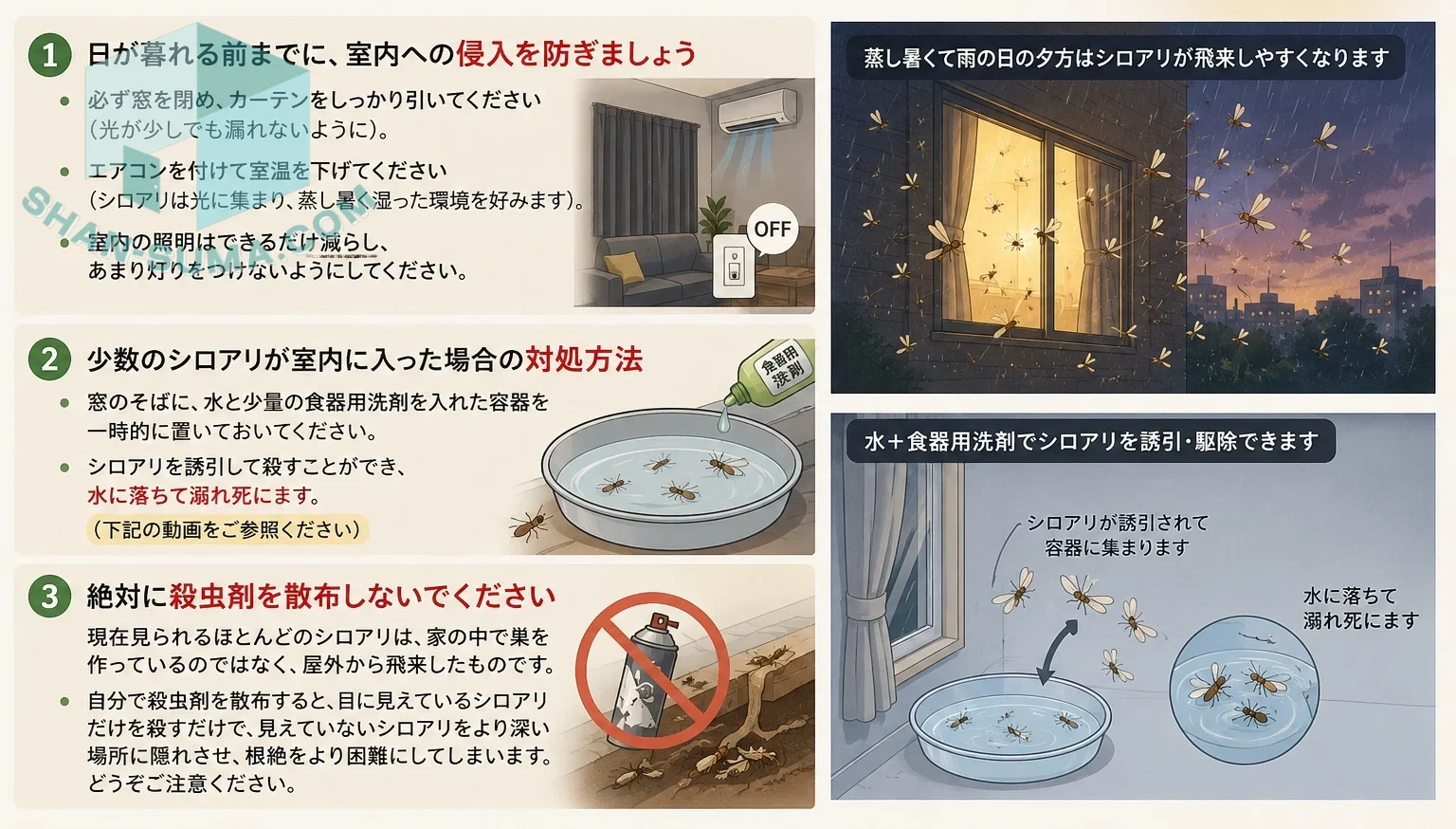 夕方のシロアリ飛来にご注意ください